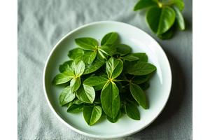Fresh malunggay (moringa) leaves, a nutrient-dense Filipino vegetable